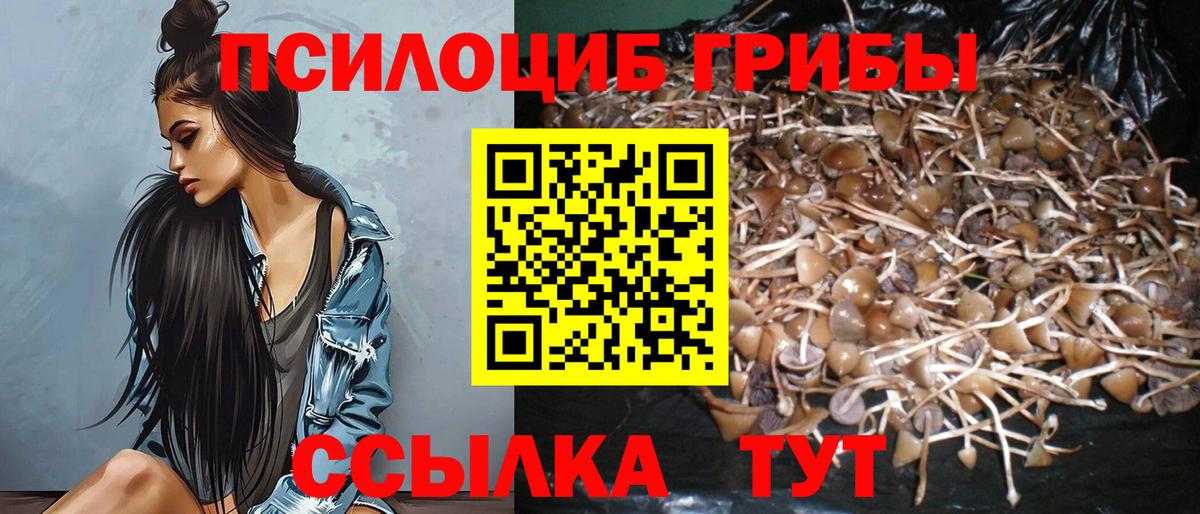 Галлюциногенные грибы MAGIC MUSHROOMS  где можно купить наркотик  Сухой Лог  Вход с VPN 