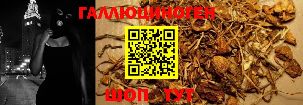 Галлюциногенные грибы GOLDEN TEACHER Сухой Лог